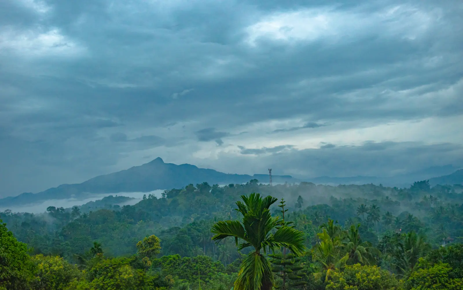 Mountain view at Innovick Residence